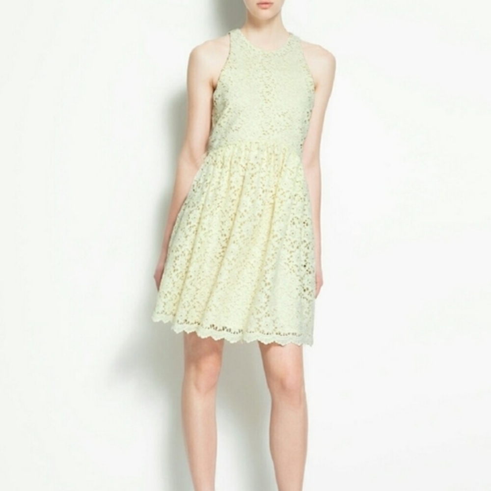Zara buttercup yellow guipure lace dress spring wedding shower 0 2 xs